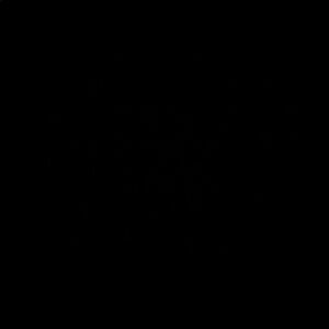 Meet your Posher, Leilani